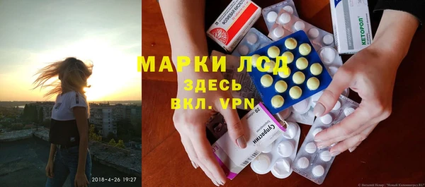 стаф Абинск