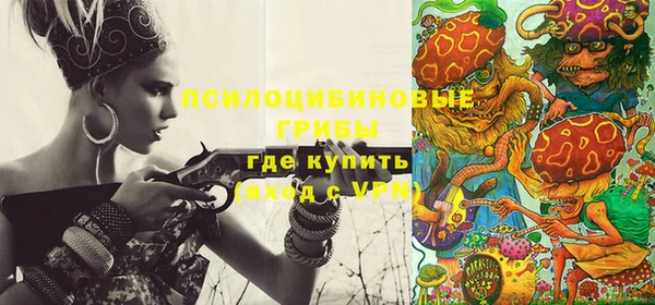 стаф Абинск
