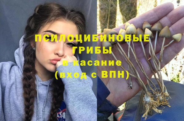 spice Абаза