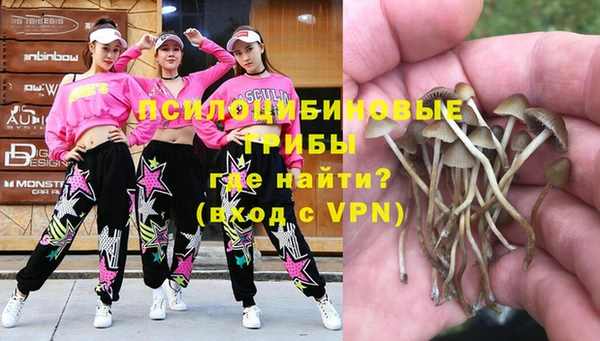 стаф Абинск