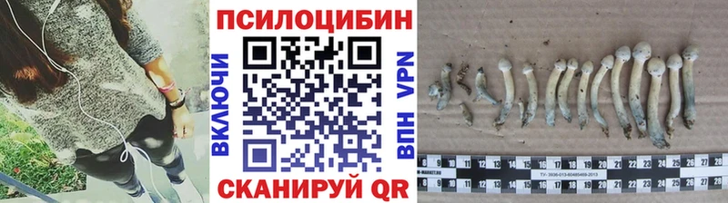 Псилоцибиновые грибы Cubensis Димитровград